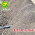 泥炭土