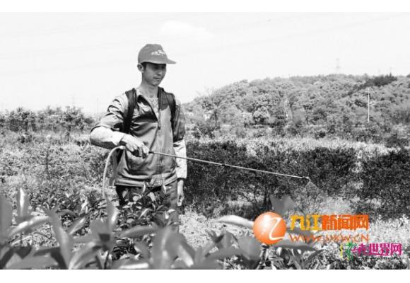 江西九江：花卉苗木产业成为农民增收“聚宝盆”