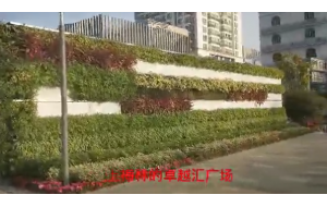 小区域大绿地，让绿色在城市蔓延