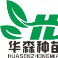 火力楠