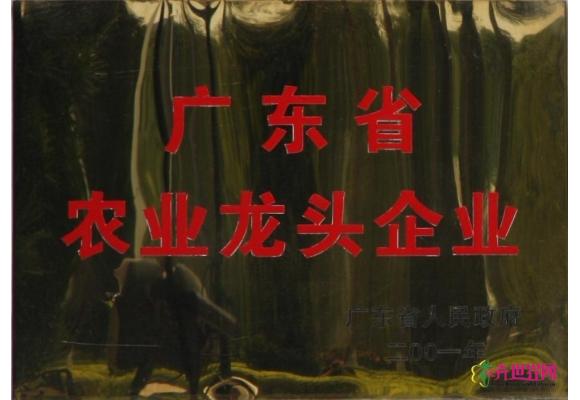 广东省农业龙头企业
