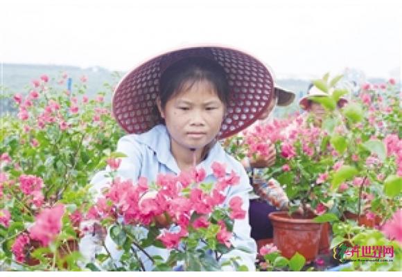 探索园艺产业精准扶贫 东山产业园助贫困户增收