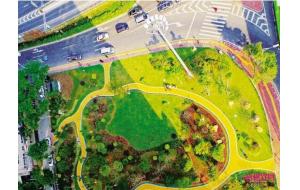 福建厦门:道路绿化景观改造 到4月底前将陆续完成 福建厦门:道路绿化景观改造 到4月底前将陆续完成