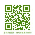 木棉-绿化苗木