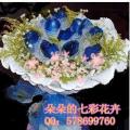 11朵蓝玫瑰/蓝色妖姬/郑州鲜花速递/郑州花店