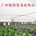 薄膜温室 pep利得膜 薄膜