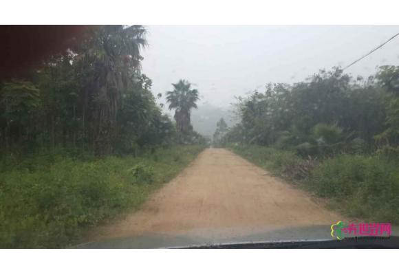 江门一苗场转让