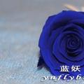其它松柏杉竹