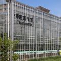 玻璃温室大棚