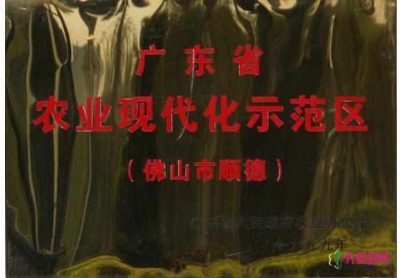 广东省农业现代化示范区（佛山市顺德）