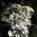奇石 5
