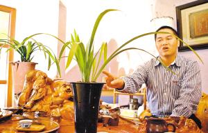 楼市渐降温 “炒房团”转战广东改“炒兰花”