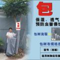 包树布