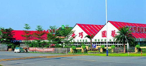 三大“法宝”助七巧打造强势品牌