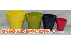 栏目介绍 -容器