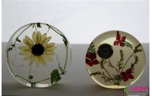 云南鲜花玩出“新花样”