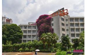 广西某大学现巨型“鲜花瀑布”十八年长30米高探出墙壁“飞流直下”！实属罕见！