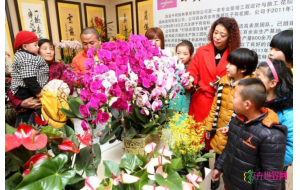 花卉市场进入销售旺季 市民选购鲜花喜迎佳节