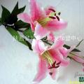 仿真花批发-陕西梦幻花艺批发加盟中心