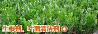 栏目介绍 -农药