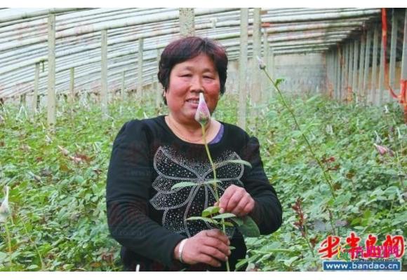 山东：打造小莲村玫瑰特有品牌