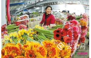 2016年云南60.7亿枝鲜切花销往40多个国家和地区