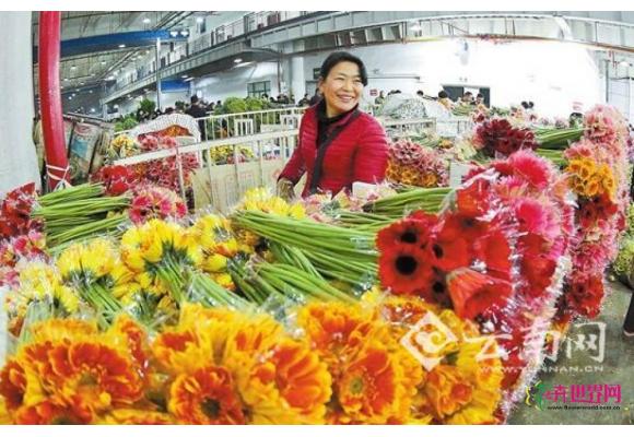 2016年云南60.7亿枝鲜切花销往40多个国家和地区 2016年云南60.7亿枝鲜切花销往40多个国家和地区