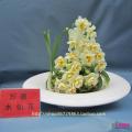 其它观花植物