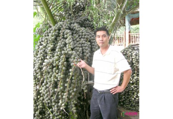 雷豪 ：“珍贵树种苗大王”如何铸就