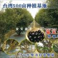 嘉宝果台湾生产基地