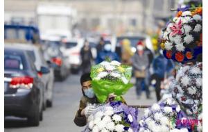 鲜花销售迎旺季 花商提前预热清明