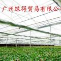 薄膜温室 pep利得膜