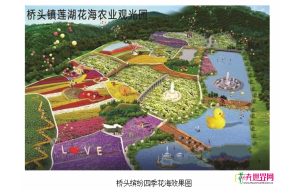 广东：桥头打造缤纷四季花海项目
