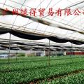 薄膜温室 pep利得膜 薄膜