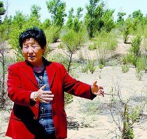 榆林：妇女25年植树2700万感动世界 欲建沙漠旅游区
