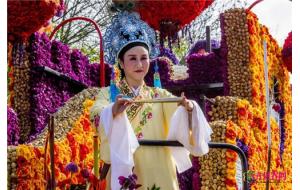 荷兰利瑟举行鲜花巡游加入中国元素【组图】