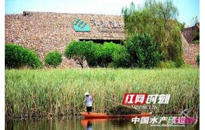 湖南洋湖湿地构建“草型清水态”自净系统 湖南洋湖湿地构建“草型清水态”自净系统