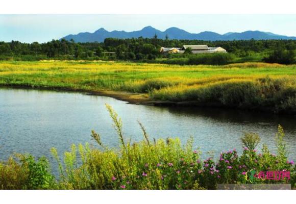 海南岛湿地有5类25型 总面积达32万公顷