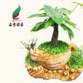 小森林