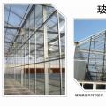玻璃温室