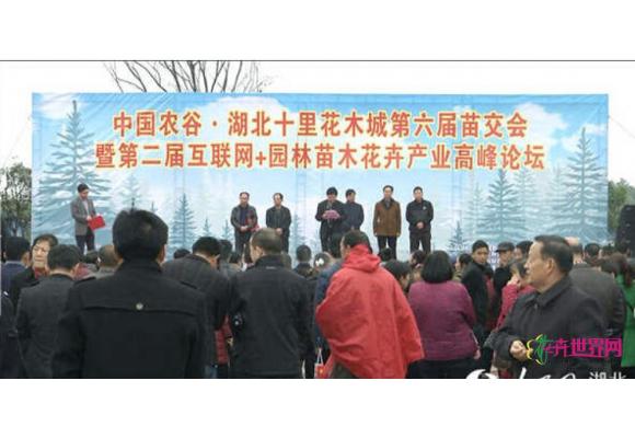 荆门沙洋：中国农谷秋季苗交会喜签千万订单