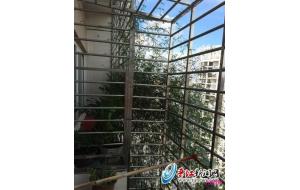 福建：炎炎夏日晋江市民室内降温有高招 绿植来帮忙