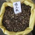 鸡爪槭
