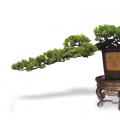 横空出世