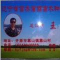 斑叶香娘子