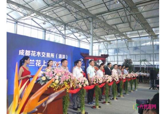 成都花木交易所(清流)兰花正式上市交易 成都花木交易所(清流)兰花正式上市交易