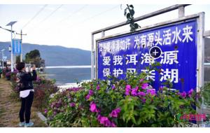 大理建州60周年 5万多盆花卉同台媲美