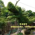 几何造型