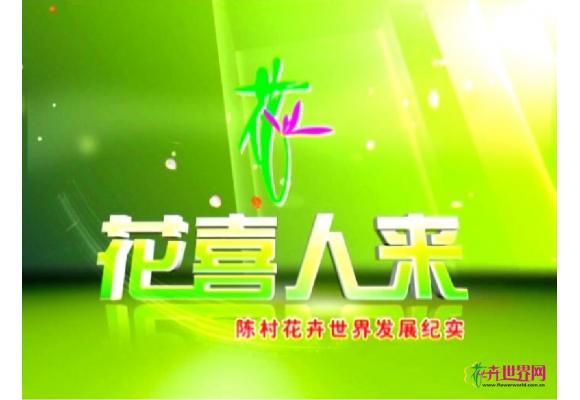 花喜人来