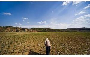 农村有地的快看！中央定了：2020年土地大消息……